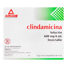 Clindamycin SOL INY 600mg 4 ml 5 AMP, Clindamicina