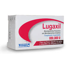 Lugaxil SUSP 800,000u INJ, Benzylpenicillin Procaine